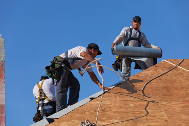 Professional Roofing Contractor in Teutopolis, IL