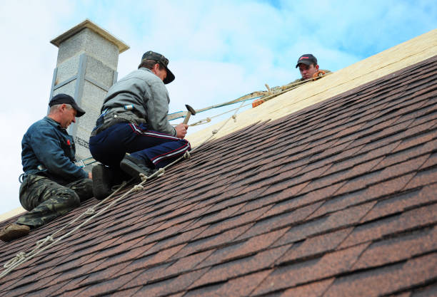 Quick and Trustworthy Emergency Roof Repair Services in Teutopolis, IL